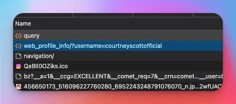 web_profile_info style request