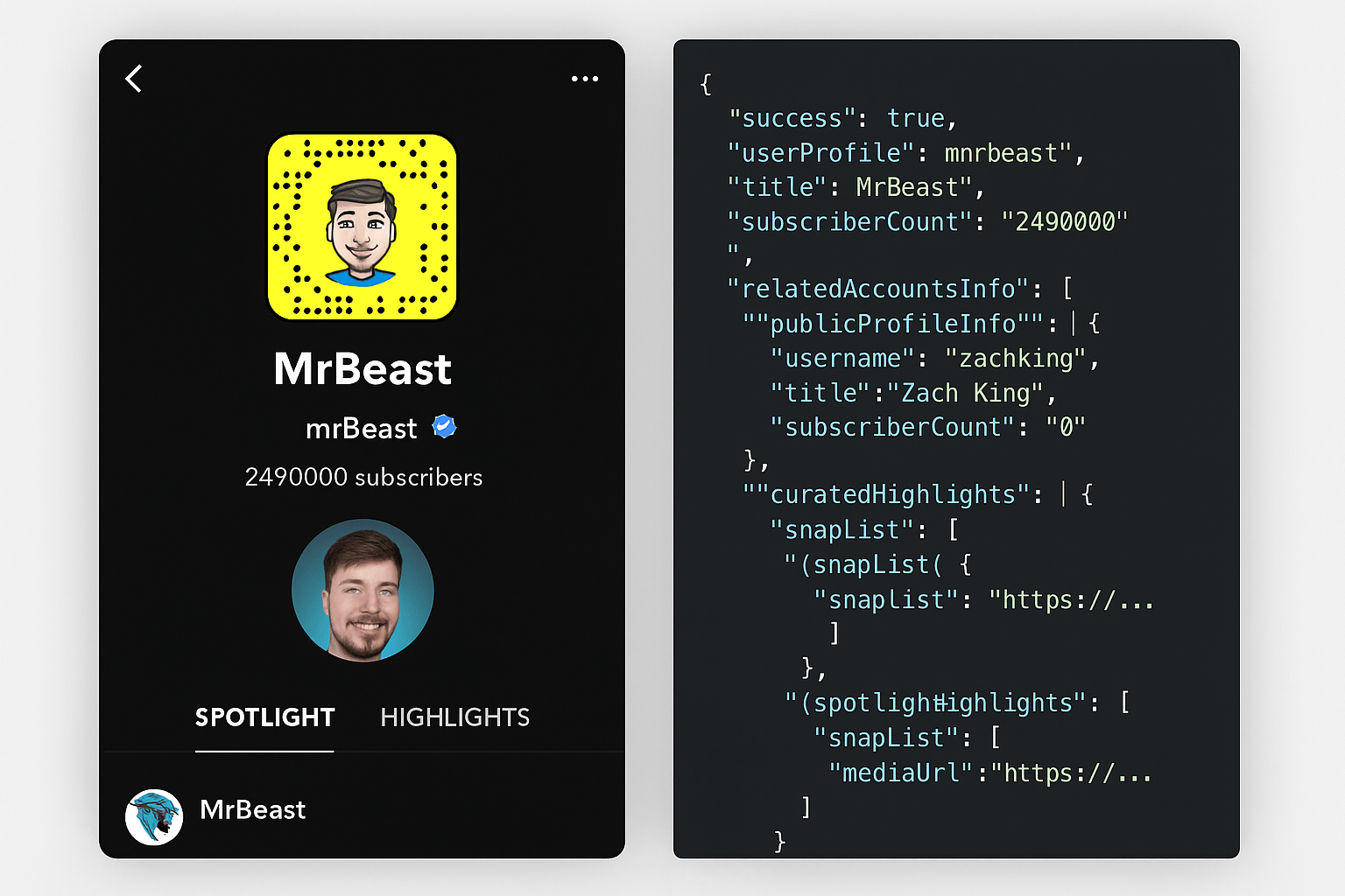 Image of Mr Beasts Snapchat, and then the json sample of his profile